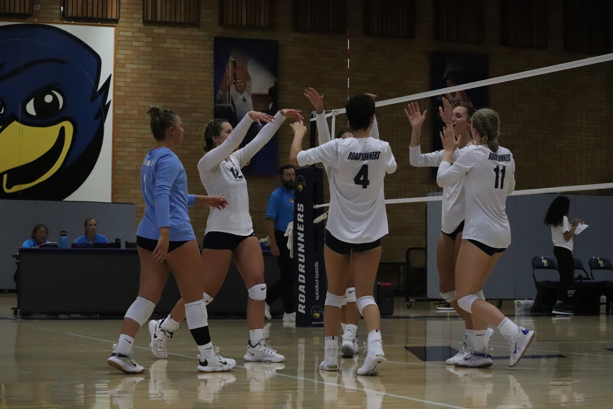 Volleyball Dominates on Opening Day